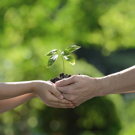 Environmental 