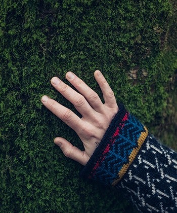 hand in a tree
