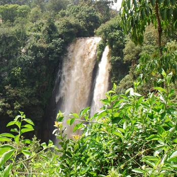 Climate-neutral printing saves forests waterfall in a forest